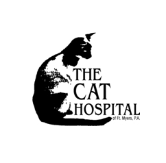 The Cat Hospital
